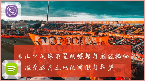 东山口足球明星的崛起与成就揭秘，谁是这片土地的骄傲与希望