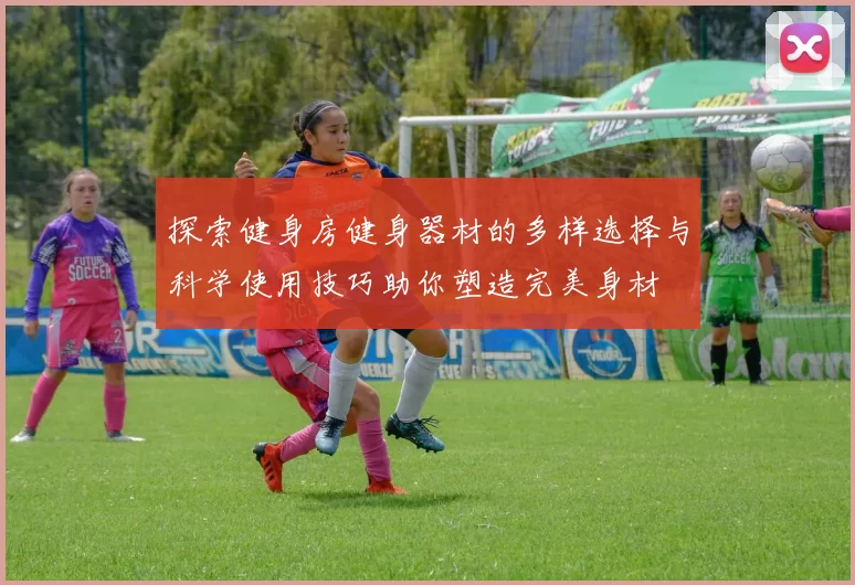 探索健身房健身器材的多样选择与科学使用技巧助你塑造完美身材