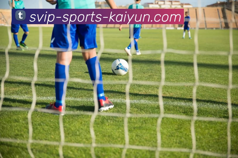 开云APP 高清赛事图